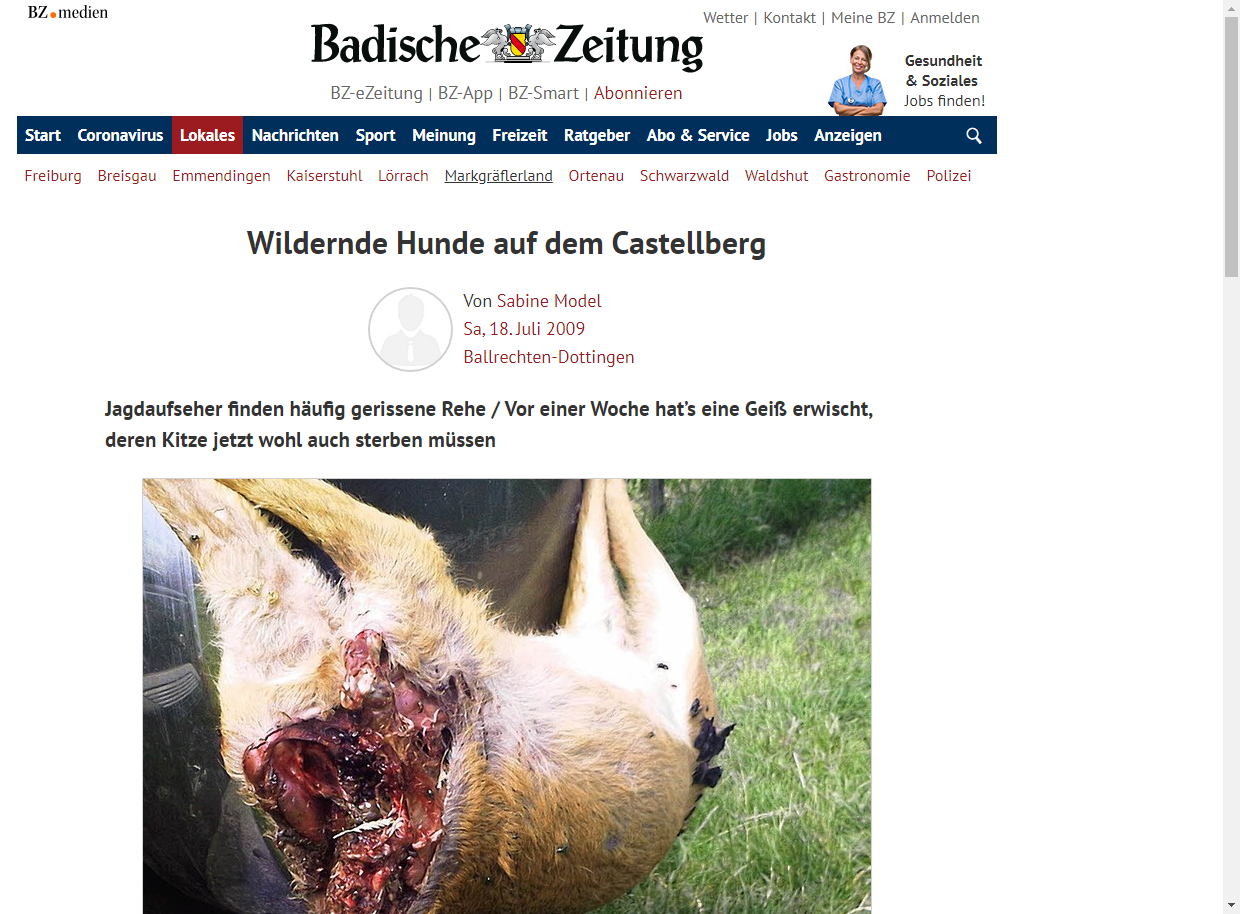 Badische Zeitung 18.07.2009: Wildernde Hunde auf dem Castellberg